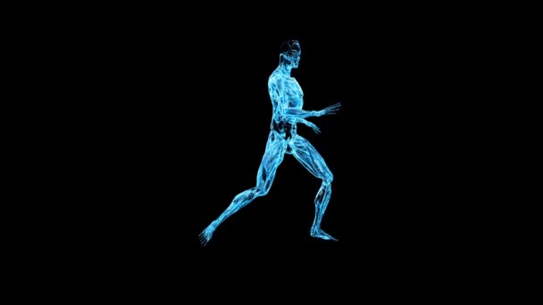 Karaté de la musculature masculine de verre se déplace, canal alpha — Video