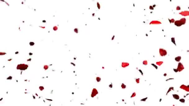Сердце из лепестков роз взрывающаяся, альфа — стоковое видео