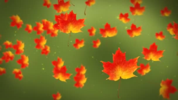 Maple leafs karşı yeşil — Stok video