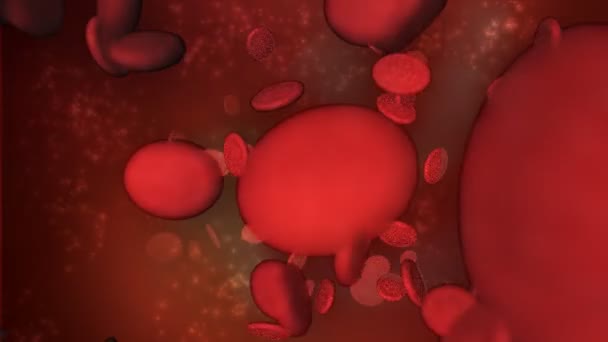 Microscopiche cellule rosse sangue con Federico e alfa — Video Stock