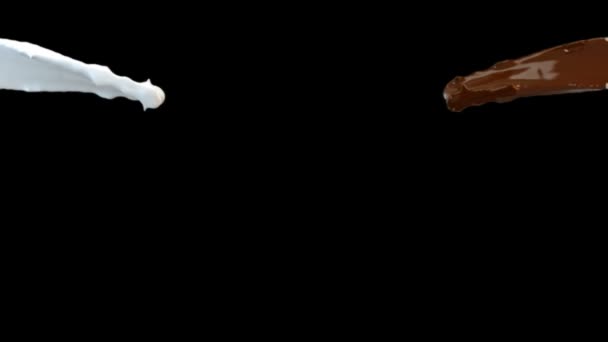 牛奶和巧克力飞溅反白，阿尔法 — 图库视频影像