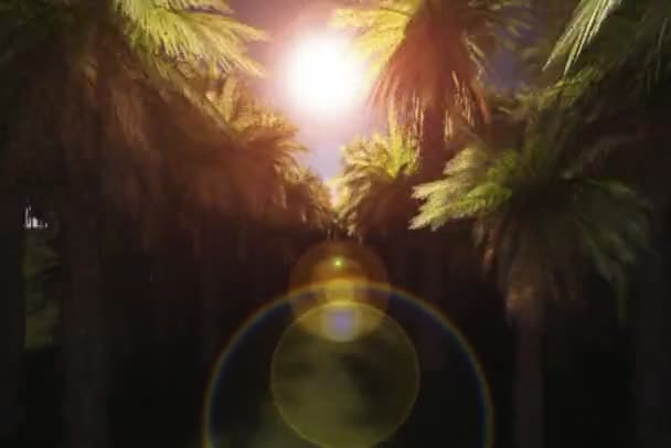 Cámara volando a través de una plantación de palmeras, alfa incluido — Vídeos de Stock