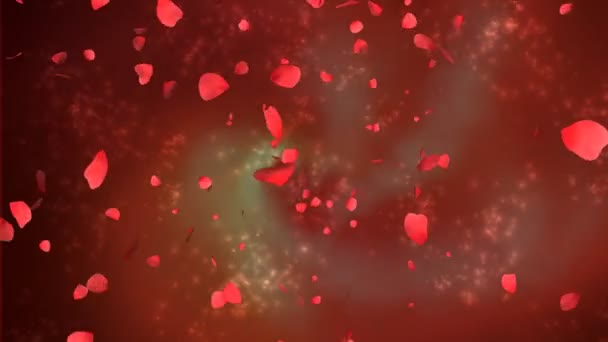 추상적인 배경 및 알파 장미 꽃잎 — 비디오