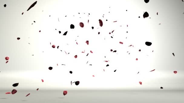 pétales de rose dans une chambre blanche tombant sur le sol, une ombre agréable sur le terrain