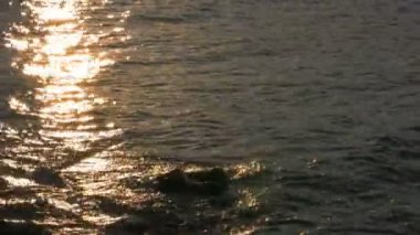 gün batımı deniz glitter