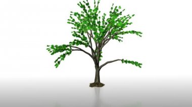 Alfa dahil zemin yansıması ile hızlandırılmış büyüyen ağacı