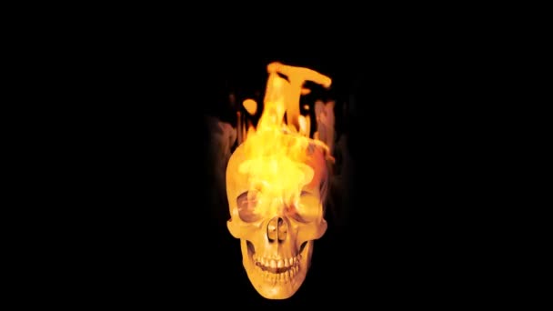 Skull on fire — Stock Video