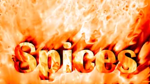 Spices fire background – Stock-video
