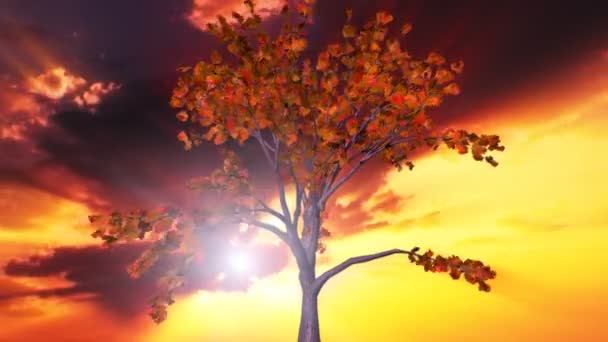 Strom a západem slunce mraky času zanikla — Stock video