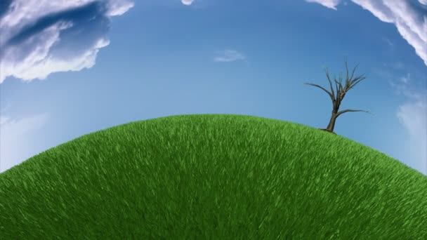 arbuste sur Prairie, vue à poisson, laps de temps nuages