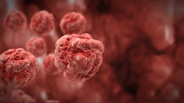 Inside human body,red blood cells,highly detailed texture — Stok Video
