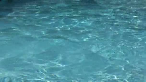 Natation sous-marine dans la piscine — Video