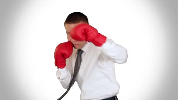 Businessman Boxing against white — Stok Video