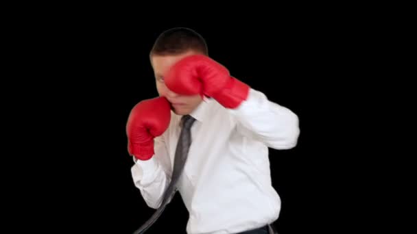 Επιχειρηματίας πυγμαχία, ίχνη πίσω από όλο το μήκος κατά μαύρο — Αρχείο Βίντεο