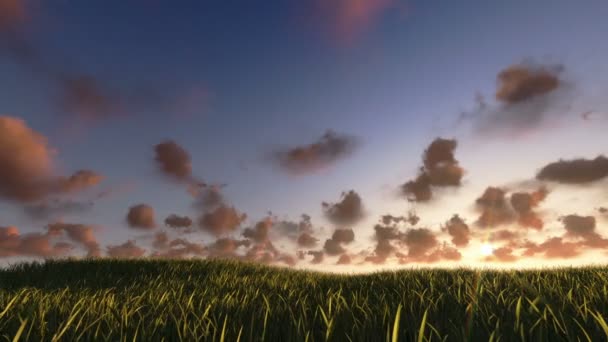Vliegen boven gras zonsopgang timelapse, nacht tot dag — Stockvideo