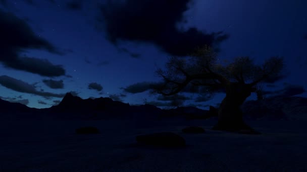 arbre solitaire dans la nuit, entourée de montagnes, timelapse nuages