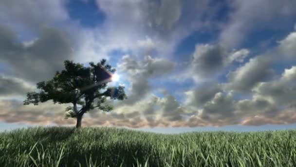 Solitära träd på grön äng, timelapse moln — Stockvideo