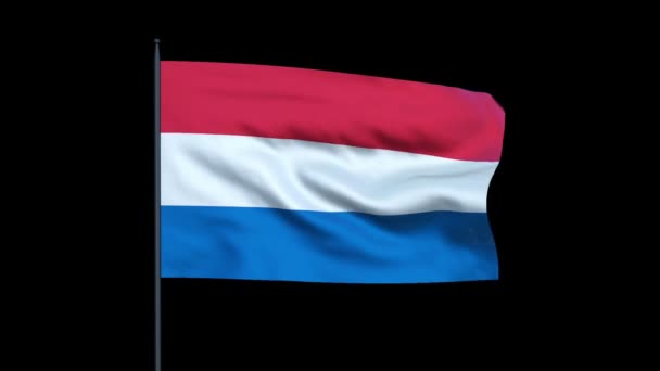 Flaga Holandia macha, bezszwowe pętli — Wideo stockowe