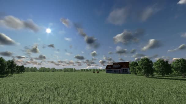 Haus auf grüner Wiese und Pferden, Zeitrafferwolken — Stockvideo