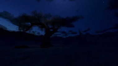 Yalnız ağaç gece, kamera panning, timelapse bulutlar