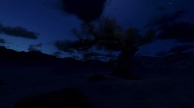 Yalnız ağaç gece, kamera sinek, timelapse bulutlar