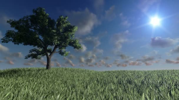 緑の草原と時間経過雲ローンツリー — ストック動画