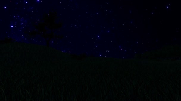 树剪影草甸和布满星星的夜空，时间间隔 — 图库视频影像