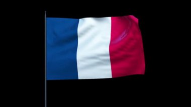 Fransa bayrağı sallayarak, kesintisiz döngü