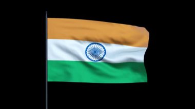 Hindistan bayrağı sallayarak, kesintisiz döngü