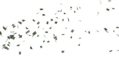 Bizi dolar uçan, beyaz karşı