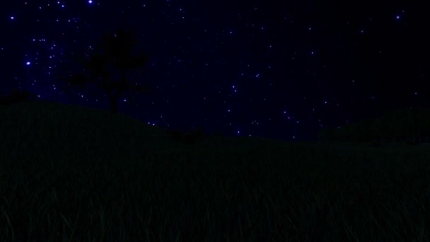 Silhouette Darbre Sur Prairie Et Ciel étoilé Time Lapse