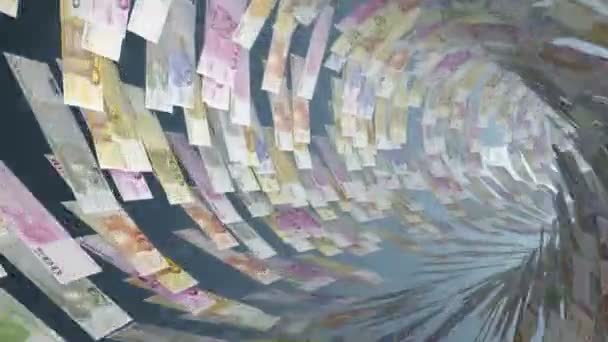 Euro moneda túnel volar a través, de la floración — Vídeos de Stock