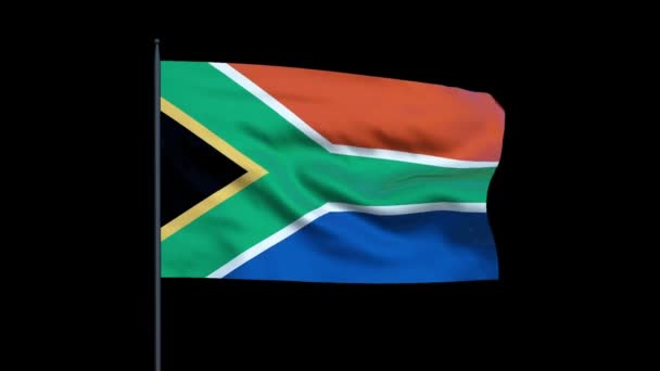 南アフリカ共和国の旗を振って、シームレスなループ — ストック動画