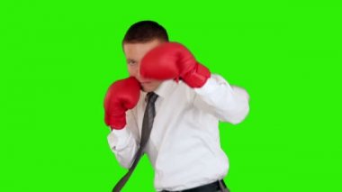 boks, işadamı yeşil karşı tam uzunlukta