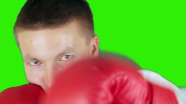 boks, işadamı yeşil karşı tam uzunlukta