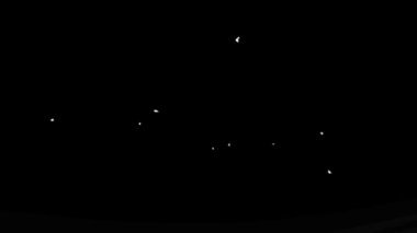 Uçuş, Alfa mat siyah beyaz güvercinler