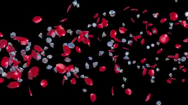 diamants et pétales de rose battant, contre black