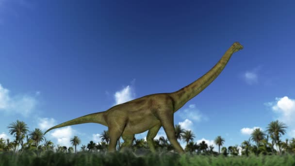 Brachiosaurus walking, seamless loop — Stock Video