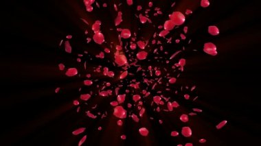 gül yaprakları tornado