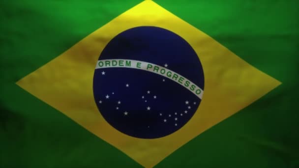 Brazil Flag Being Ripped Reveal Accurate Model Coronavirus Covid Alpha — Stock Video