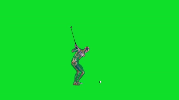 Ludzki Rentgen Ciała Szkielet Golf Hit Zielony Ekran — Wideo stockowe