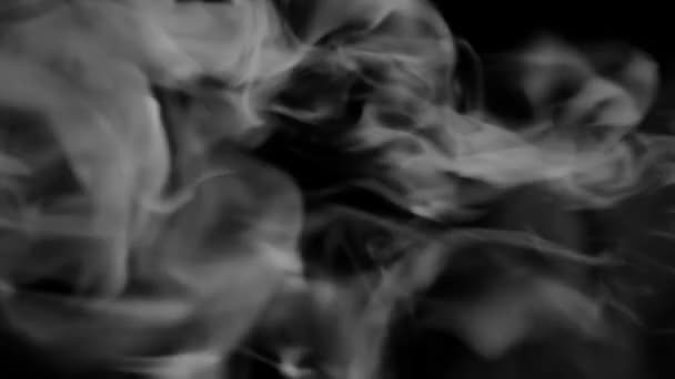 Wispy Fumo Che Scorre Senza Soluzione Continuità Loop Alpha Channel — Video Stock