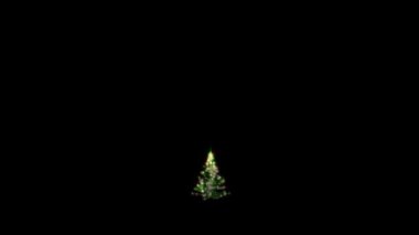 Noel ışıkları ağacı, büyüyor ve dönüyor, Alpha PNG