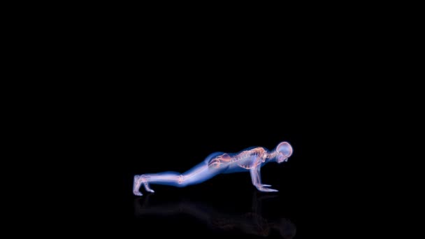 Рентгеновское Тело Скелет Человека Петля Отжимания Лума Матте — стоковое видео