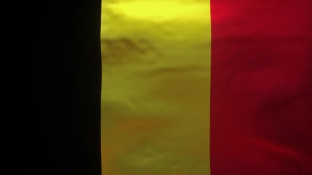 Drapeau Belgique Déchiré Pour Révéler Modèle Coronavirus Covid19 — Video