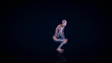 Human x-ray body and skeleton, lifting heavy object loop, Luma Matte