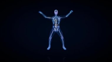 Athlete X-Ray Exercising Jumping Jacks, Seamless Loop, Luma Matte Attached