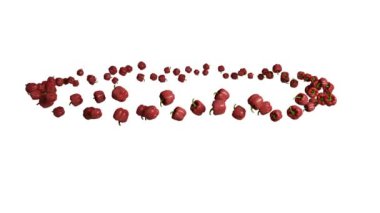 Çan biberi daireler çiziyor, kusursuz bir döngü, beyaza karşı.