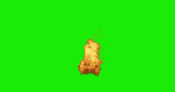 Απομονωμένες Φλόγες Πυρκαγιάς Πράσινο Χρώμα Οθόνης — Αρχείο Βίντεο