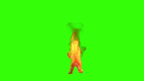 Żołnierz Płomieniach Spada Umiera Widok Przodu Zielony Ekran Chromakey — Wideo stockowe